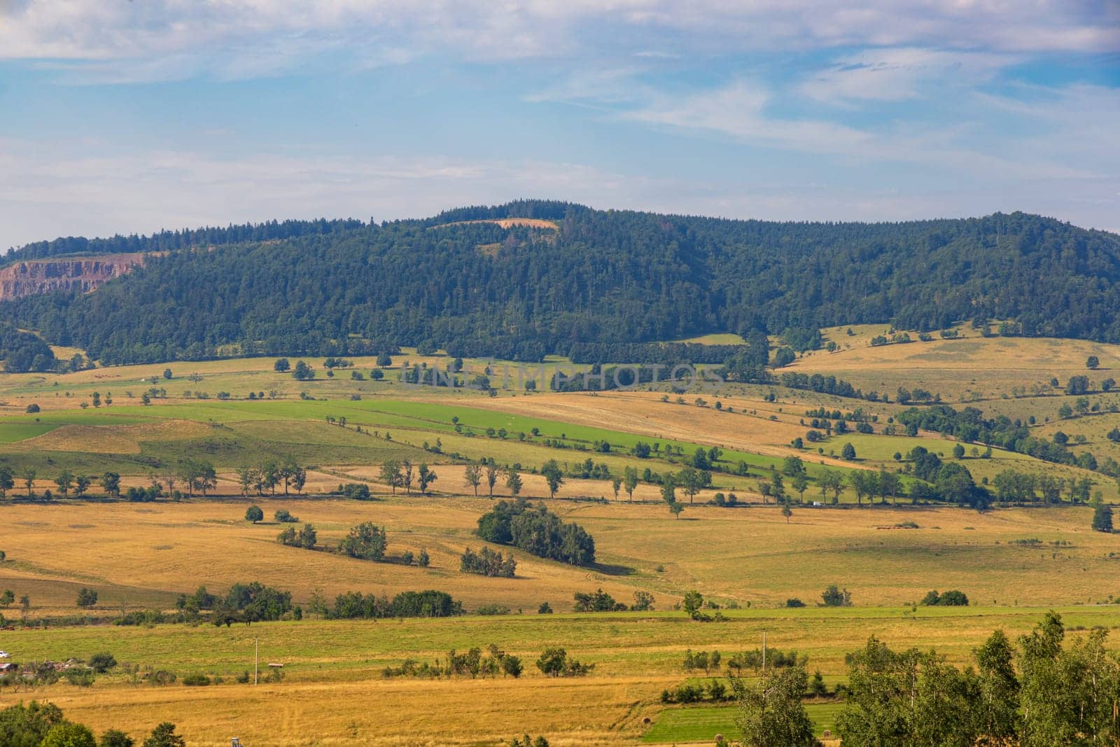 Beautiful landscape of glades and clearing full of fields and trees between it at mountains at sunny cloudy day