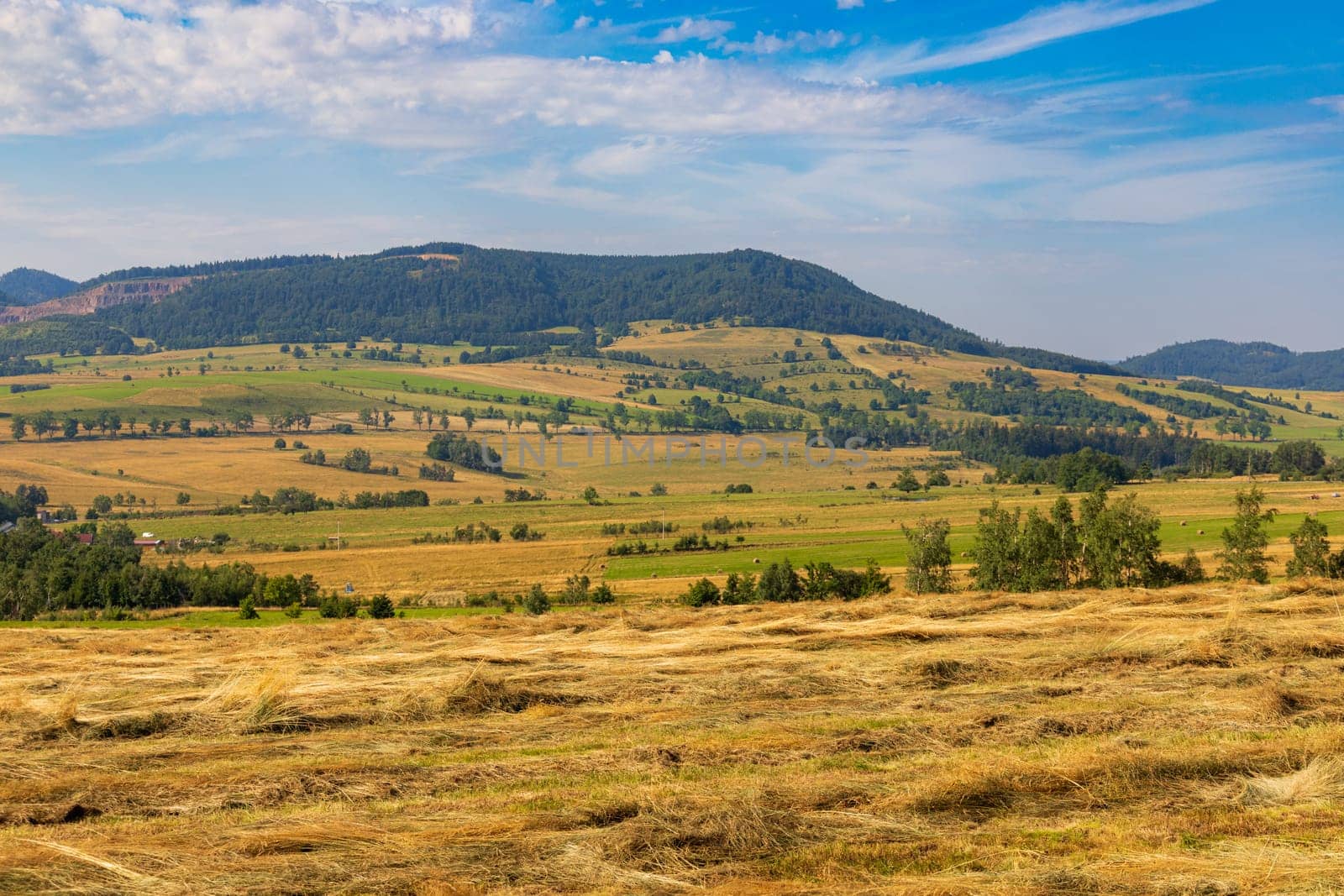 Beautiful landscape of glades and clearing full of fields and trees between it at mountains at sunny cloudy day