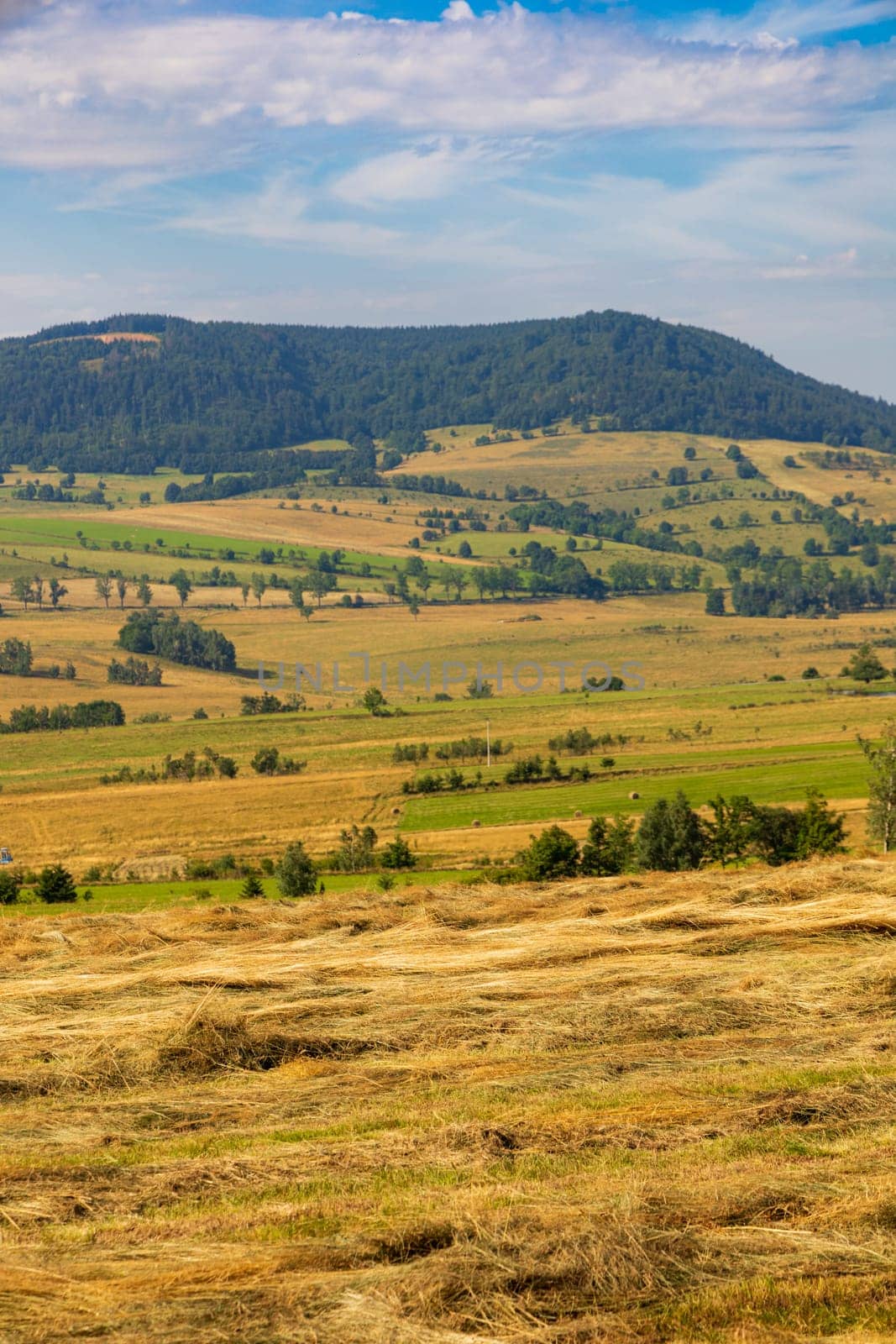 Beautiful landscape of glades and clearing full of fields and trees between it at mountains at sunny cloudy day