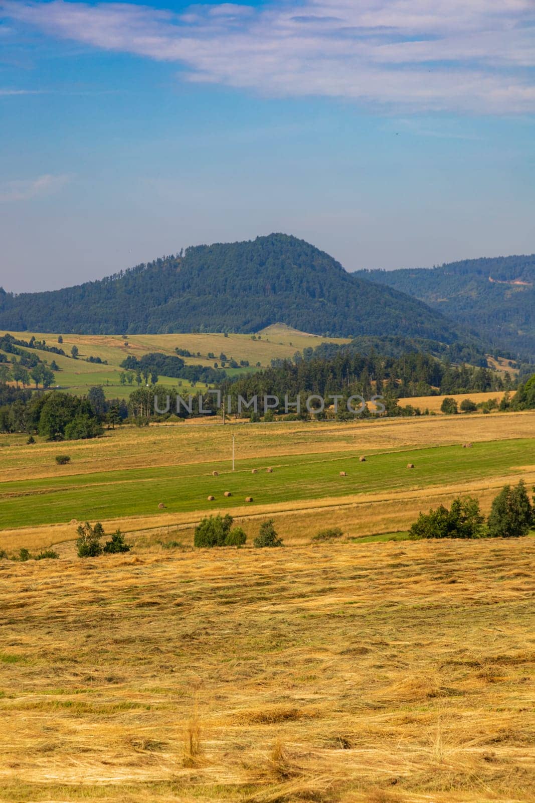 Beautiful landscape of glades and clearing full of fields and trees between it at mountains at sunny cloudy day