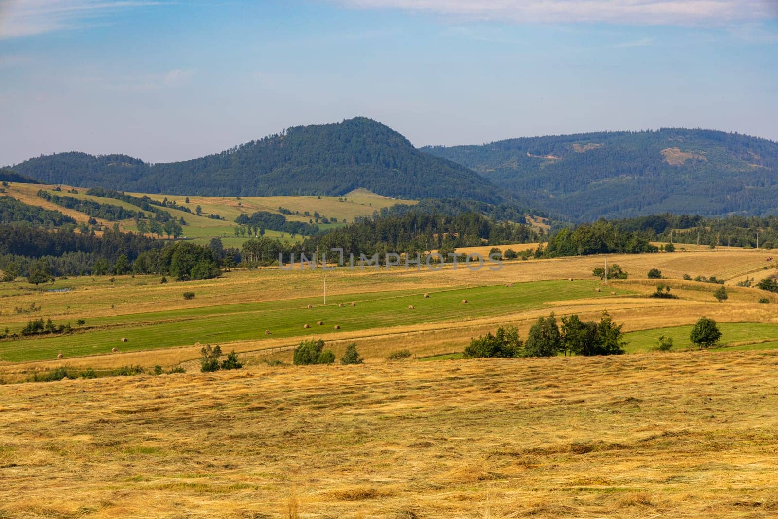 Beautiful landscape of glades and clearing full of fields and trees between it at mountains at sunny cloudy day