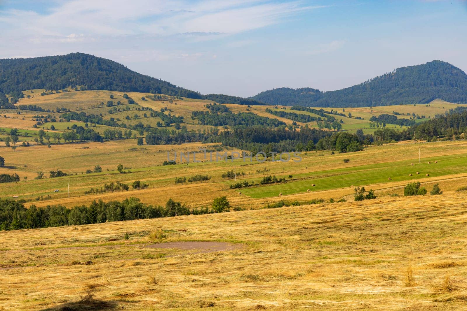 Beautiful landscape of glades and clearing full of fields and trees between it at mountains at sunny cloudy day by Wierzchu