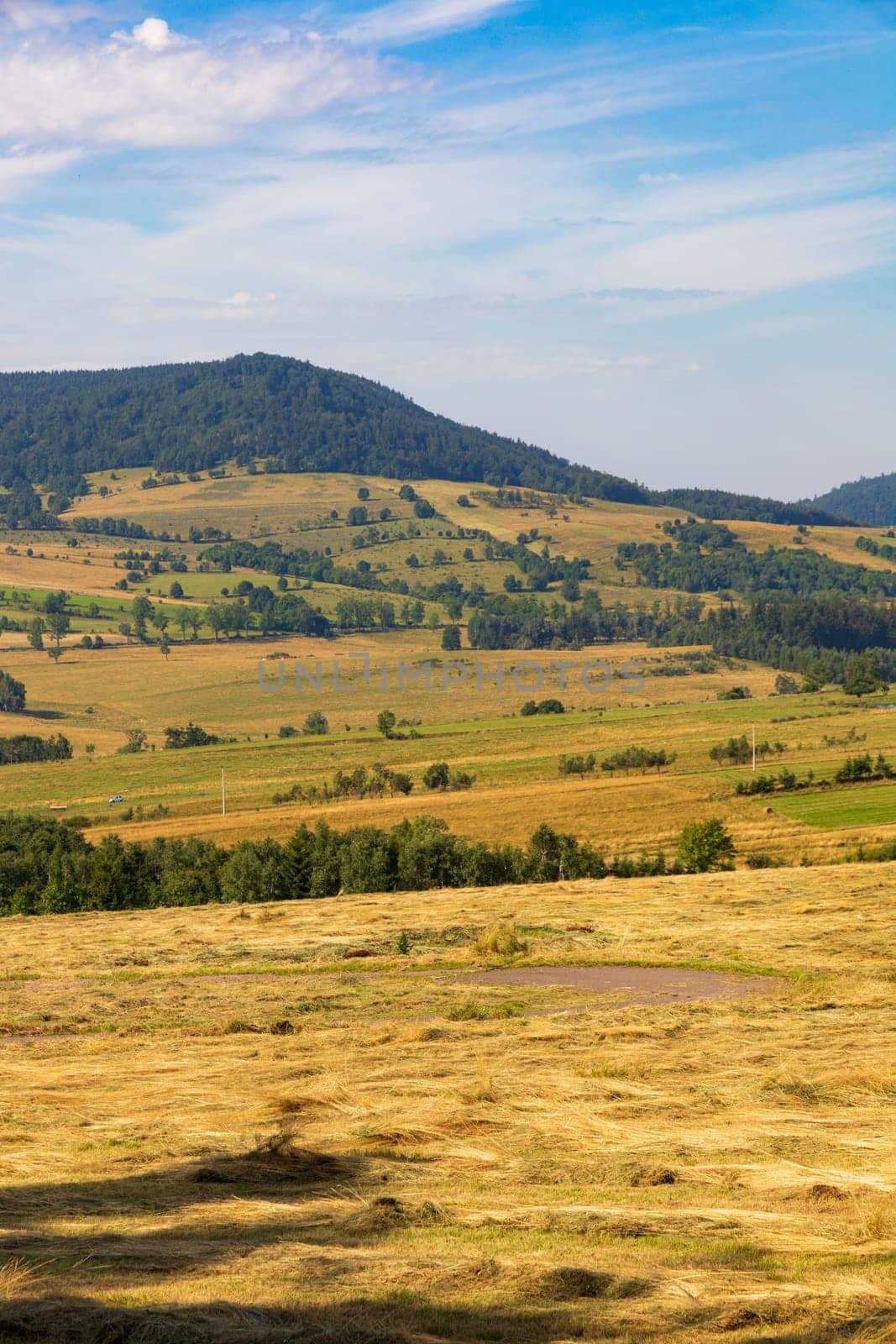 Beautiful landscape of glades and clearing full of fields and trees between it at mountains at sunny cloudy day by Wierzchu