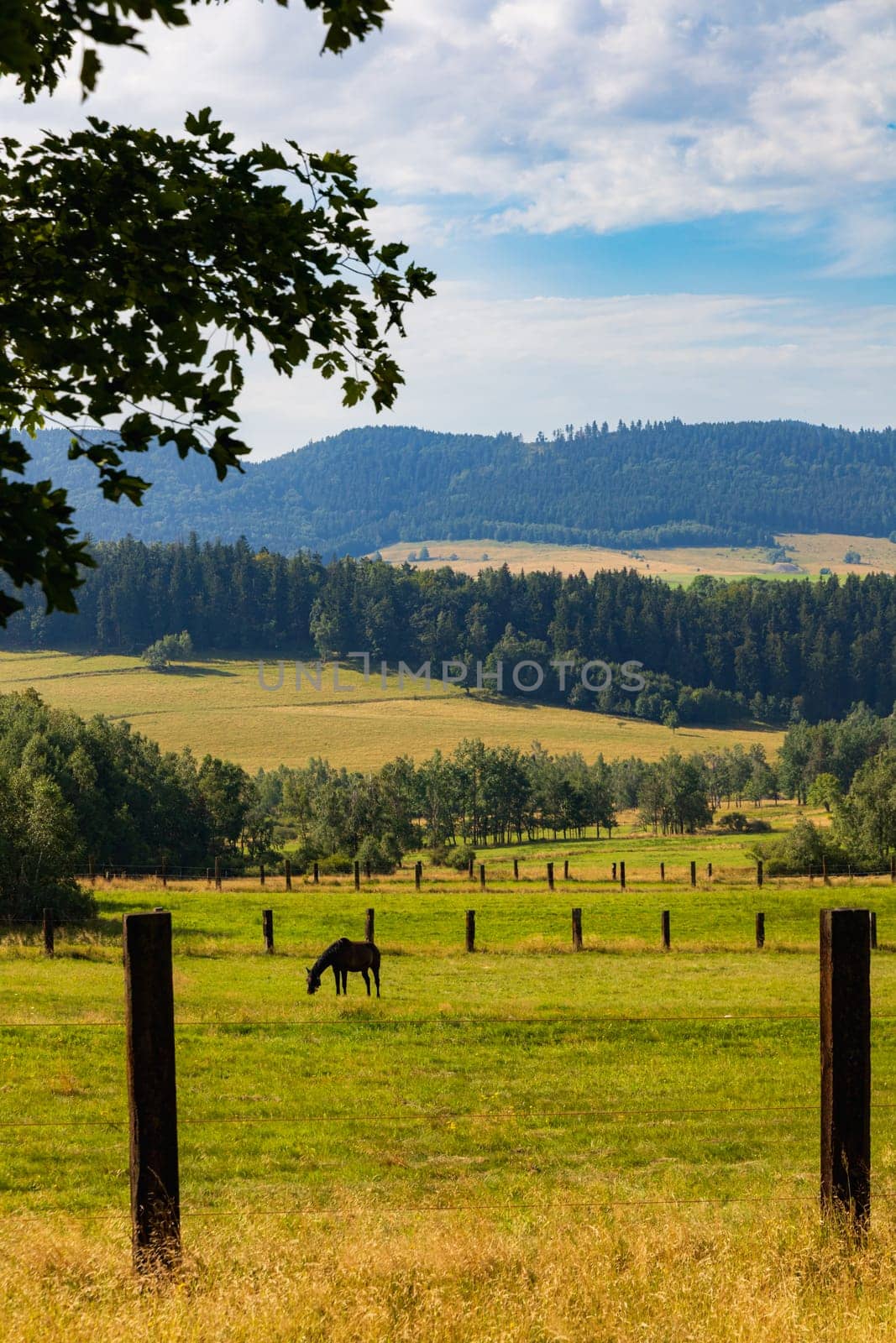 Beautiful landscape of glades and clearing full of fields and trees between it at mountains at sunny cloudy day by Wierzchu