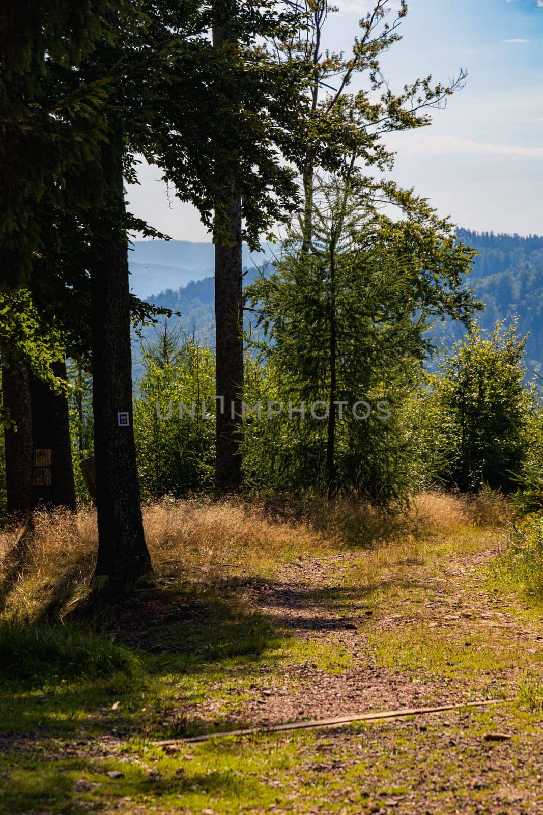 Beautiful green yellow and blue landscape in mountains seen from long and steep mountain trail by Wierzchu