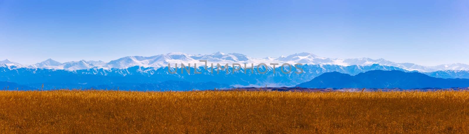 panorama of tall dry yellow grass field in front of mountains sunny autumn afternoon by z1b