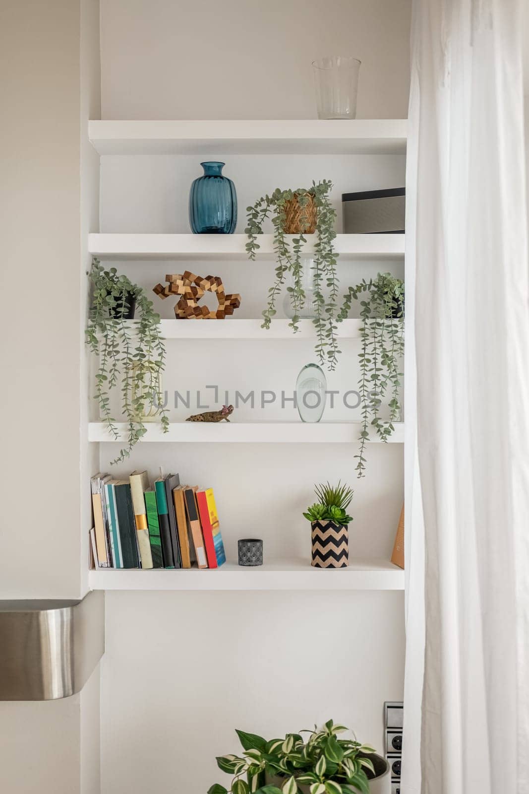 White bookshelves with houseplants and decorative items by apavlin