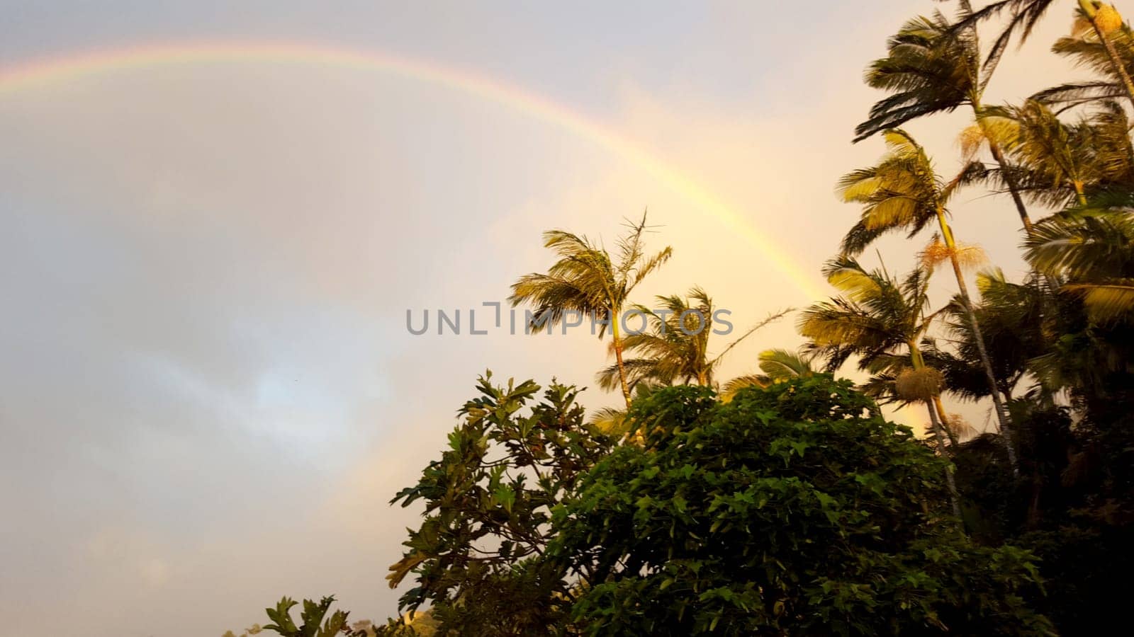 A stunning photo of a full rainbow arching over the green mountains in Oahu, Hawaii. The photo captures the natural beauty of the island with its blue sky, white clouds, palm trees and tropical foliage.