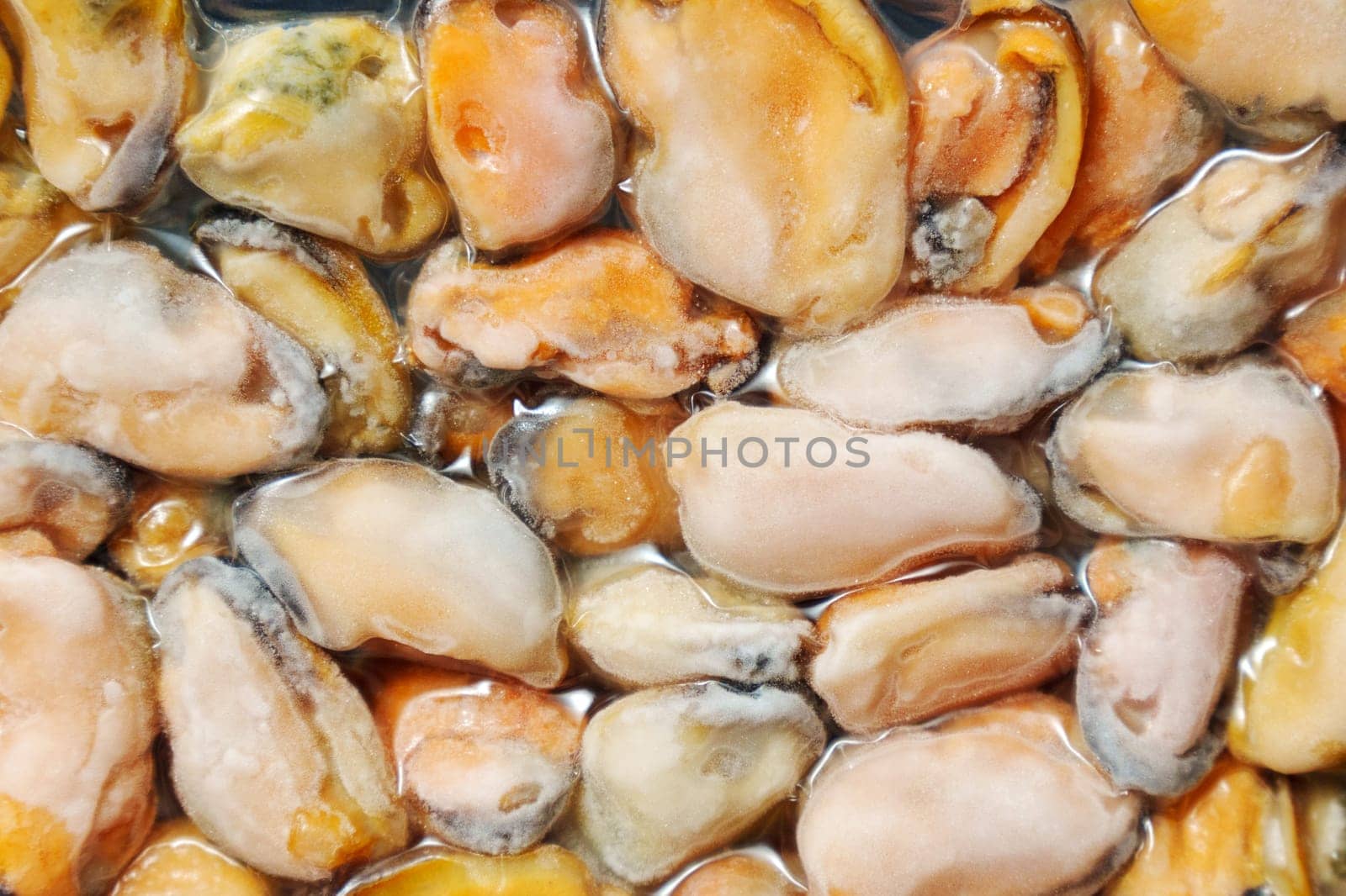 Frozen mussels background. Frozen seafood. Wholesale of fish. Peeled mussels by darksoul72