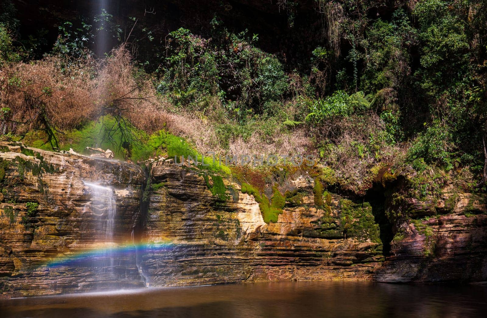 Secluded waterfall creates a rainbow in a dense forest setting.