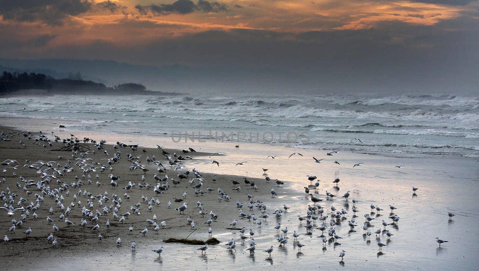 Beautiful  Giulianova, Italy pictures by TravelSync27