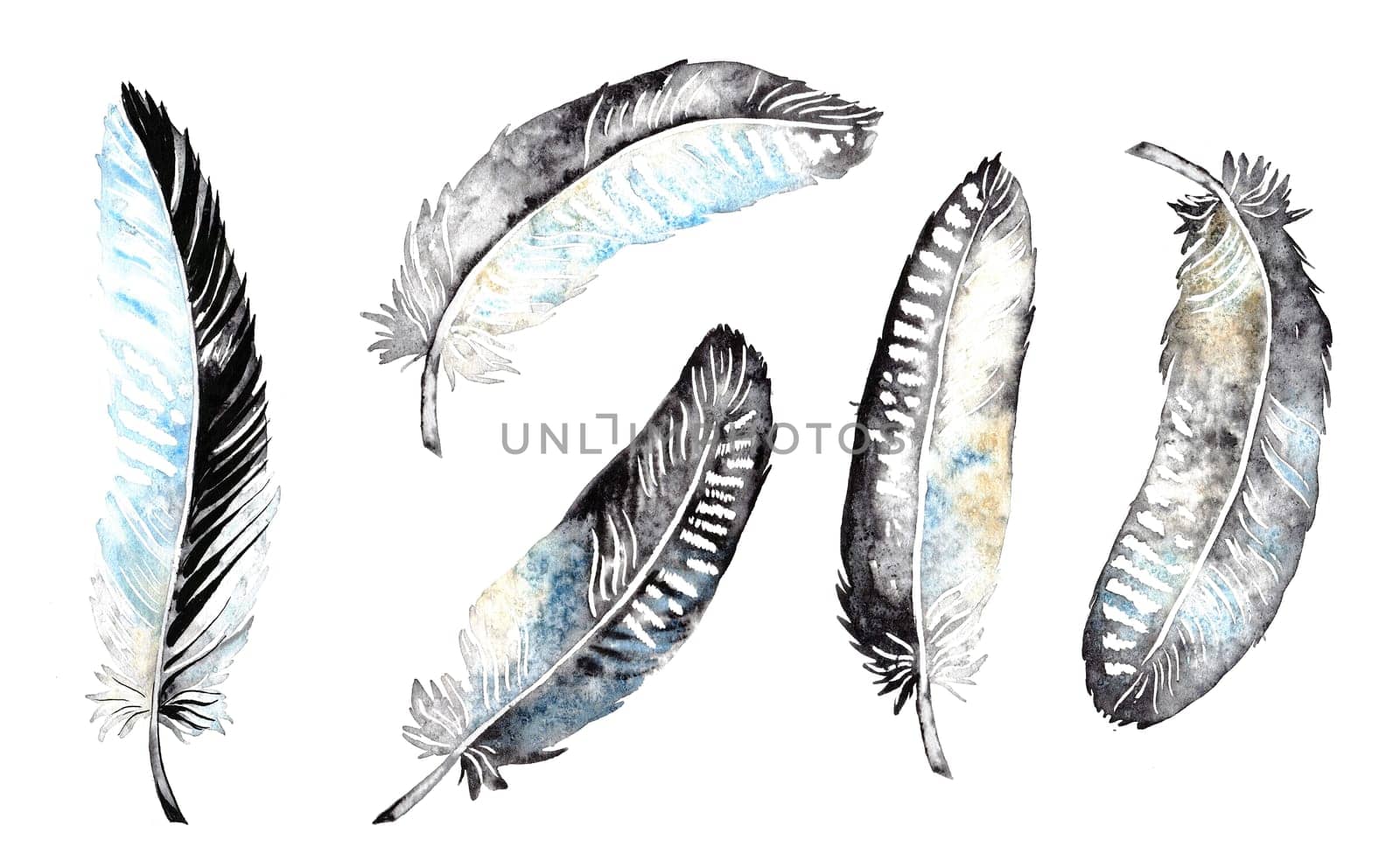 Bird feather set, watercolor boho illustration. Hand drawn. Suitable for poster design, print, sublimation.