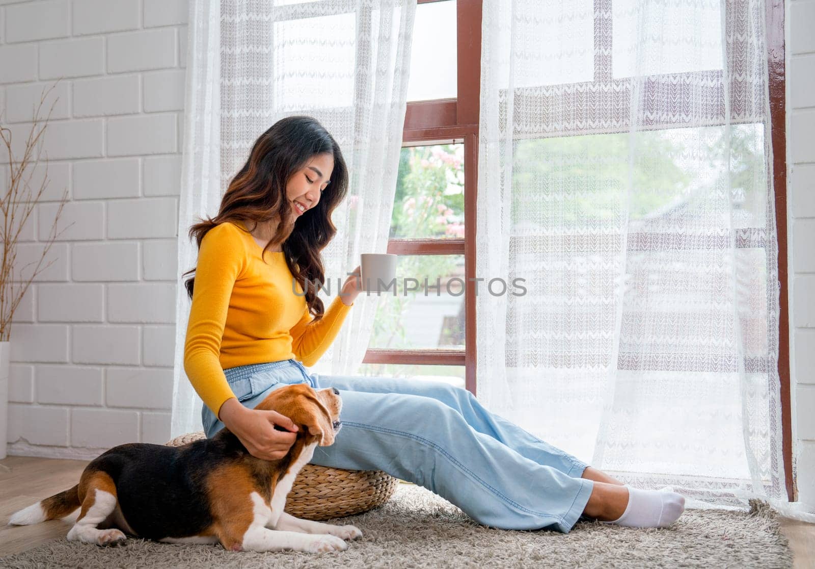 Young Asian girl sit on seat cushion also hold cup of tea and enjoy to play with beagle dog in front of glass door of the house with day light. by nrradmin