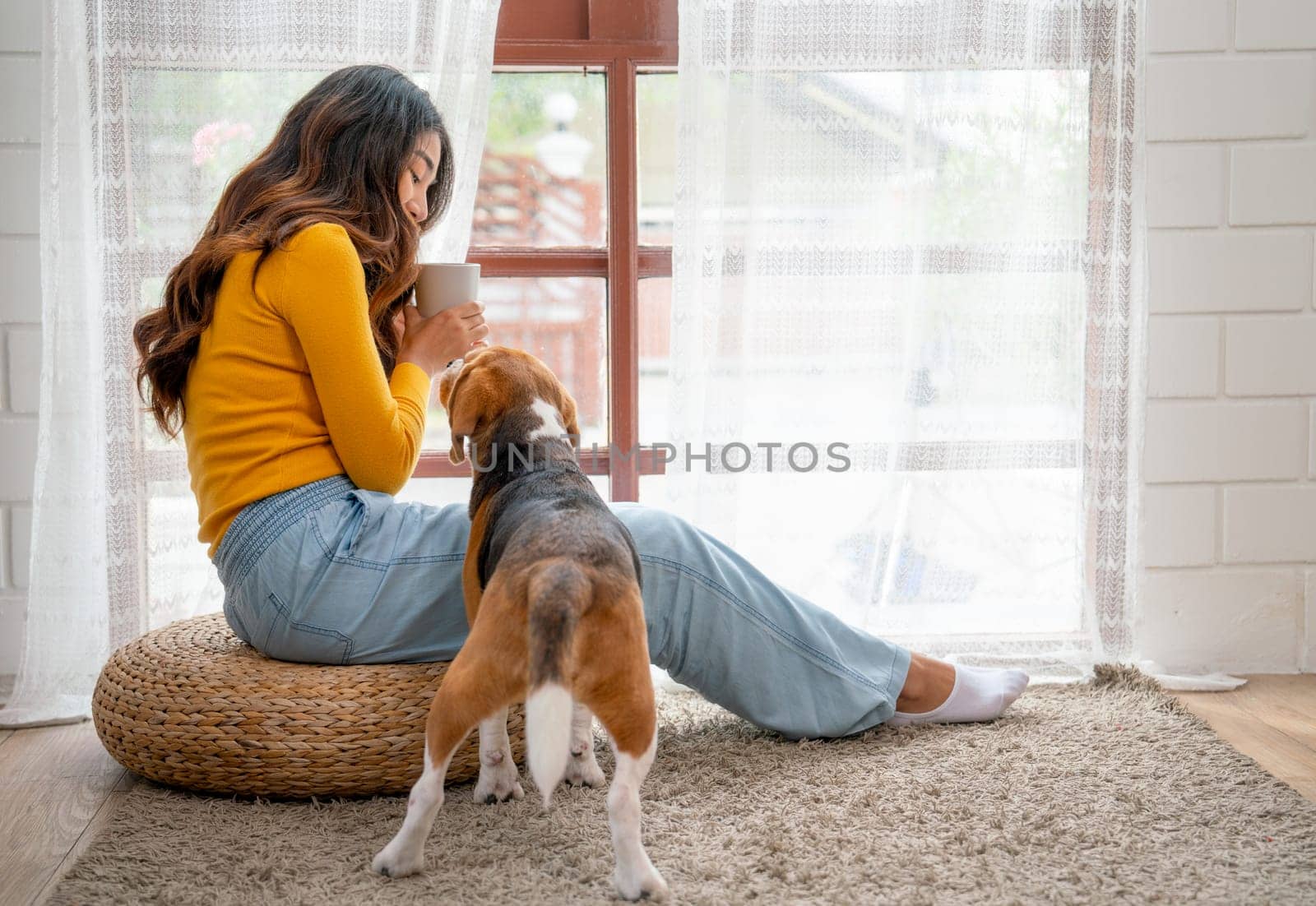 Young Asian girl sit in front of glass windows and enjoy to relax with beagle dog in the house.
