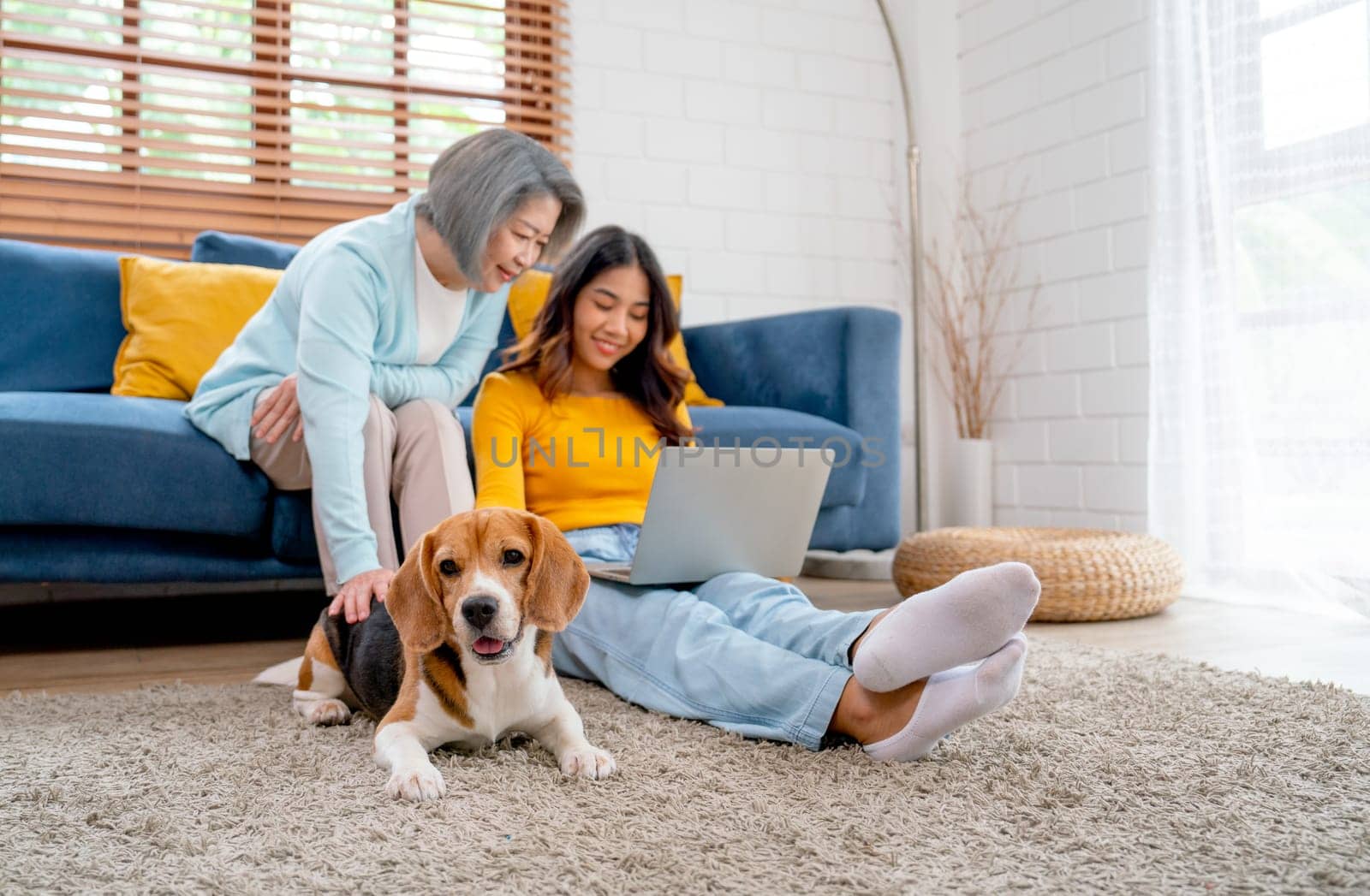 Asian senior and young woman enjoy with using laptop in living room and beagle dog also stay near and beside of them in the house with day light. by nrradmin