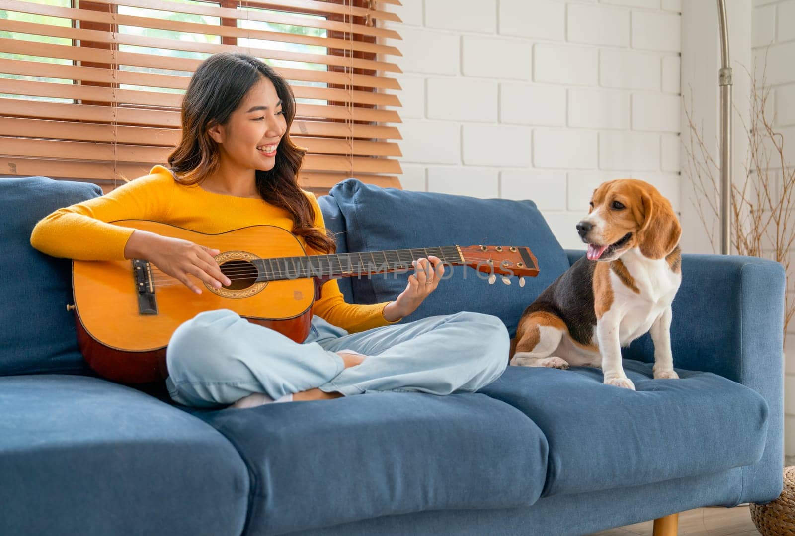 Young Asian girl sit on sofa with beagle dog to play guitar and look relax also happy in their house and dog look at the owner.