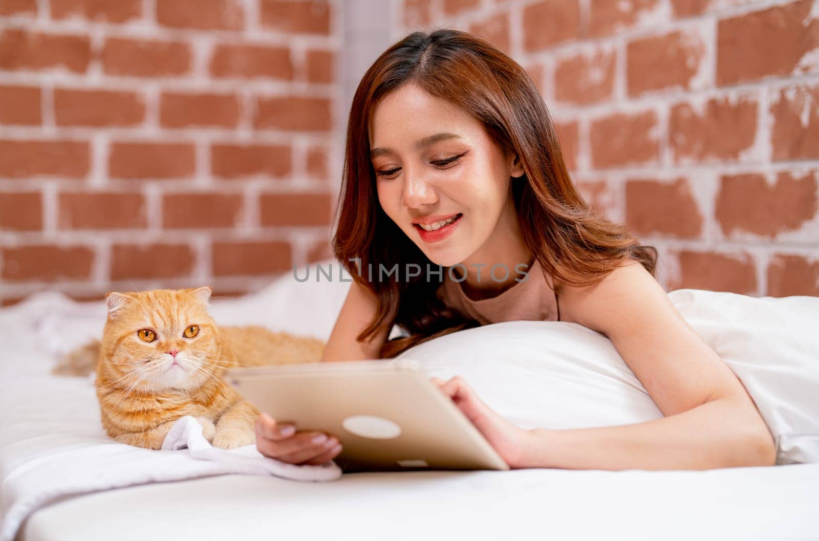 Beautiful Asian woman lie on bed and enjoy to use tablet also stay near her orange cat with happiness in the house.