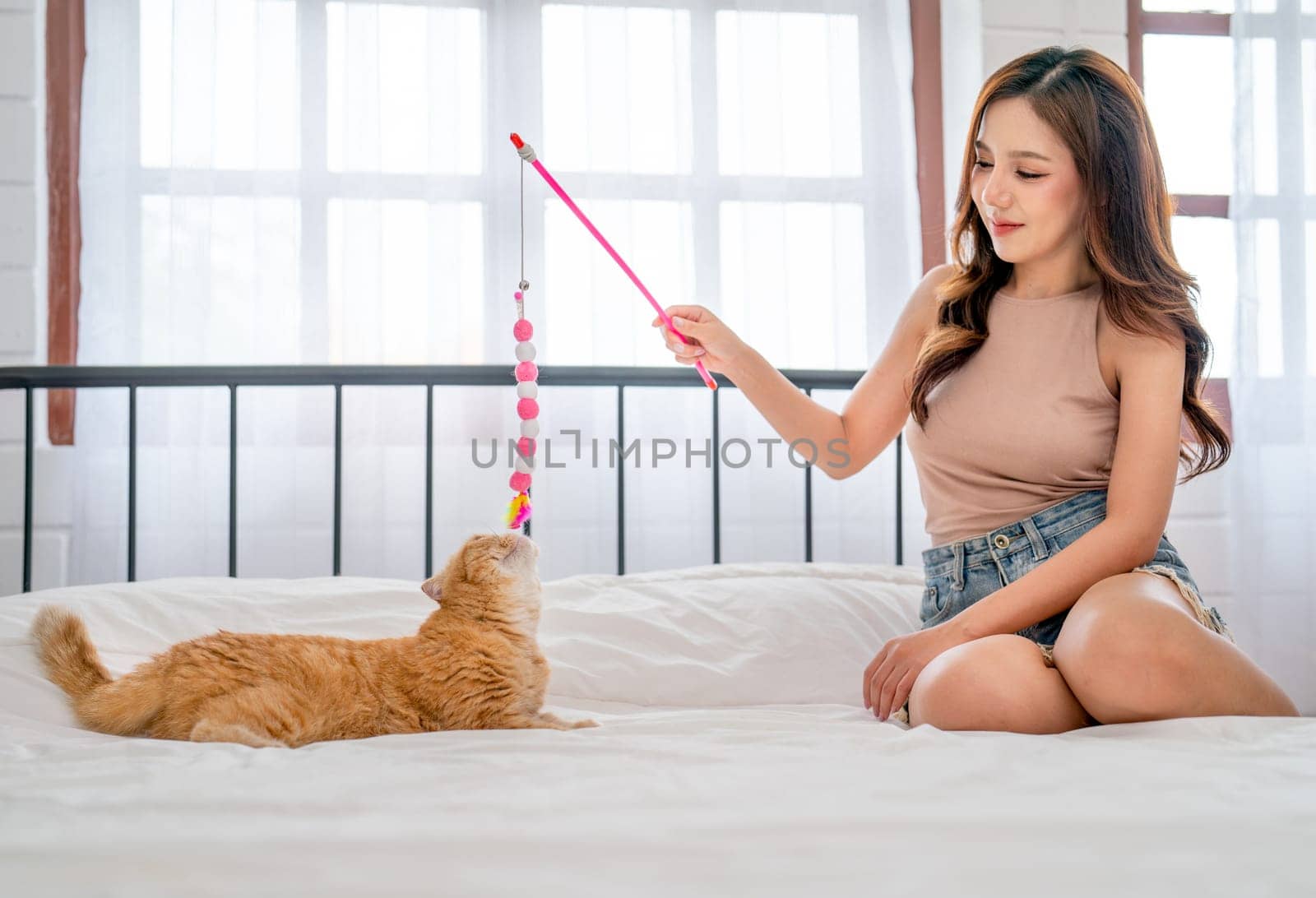 Pretty woman use accessories or toy to play with cat and sit on bed in bedroom, they look happy and fun together.