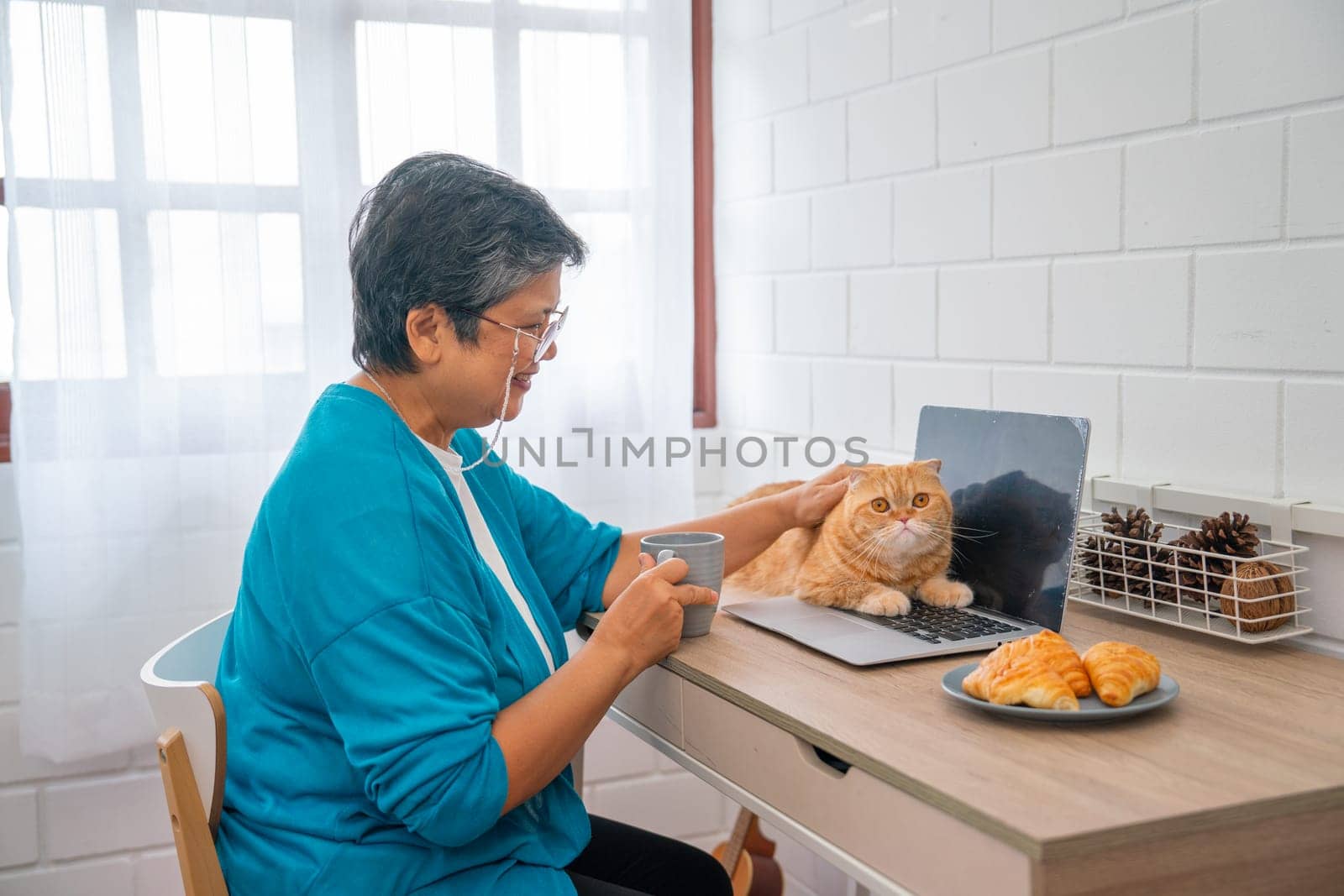 Asian senior woman hold a cup of tea and sit in front of desk and laptop to relax also pat her cat with day light. by nrradmin