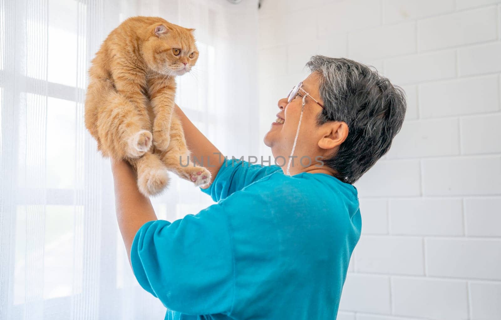 Asian senior woman hold cat and smiling stand in front of glass windows with white curtain and they look happiness together in their house.