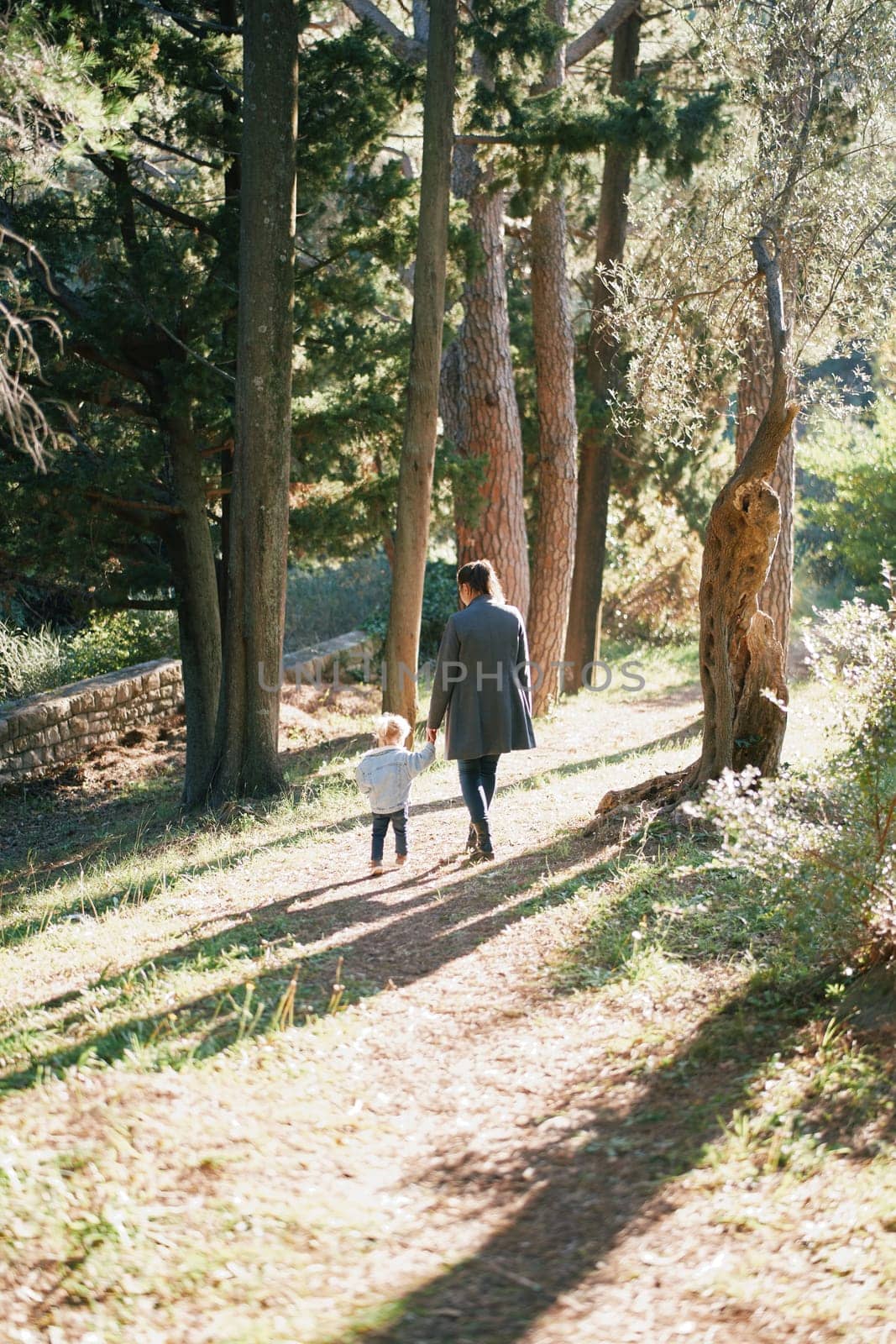 Mom with a little girl walking holding hands along a path in a forest. Back view by Nadtochiy