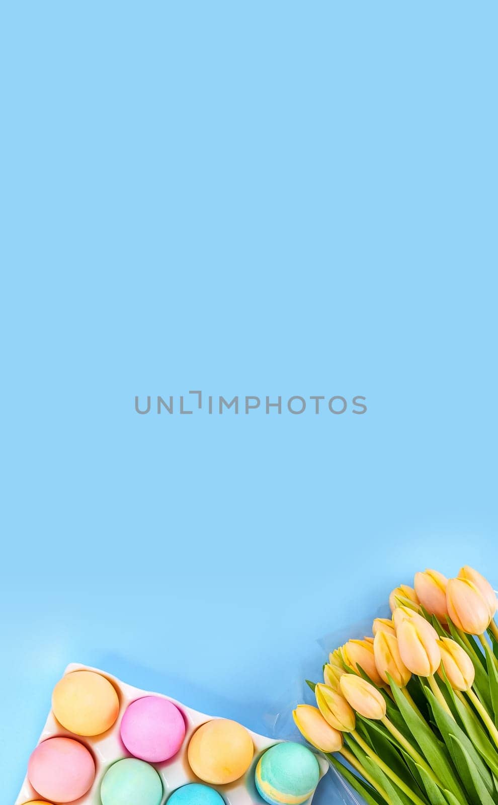 Easter background with fresh yellow tulips colorful eggs on blue. Easter, Mother day, birthday or Anniversary with copy-space. Sweet rainbow color Easter eggs, small pastel colors