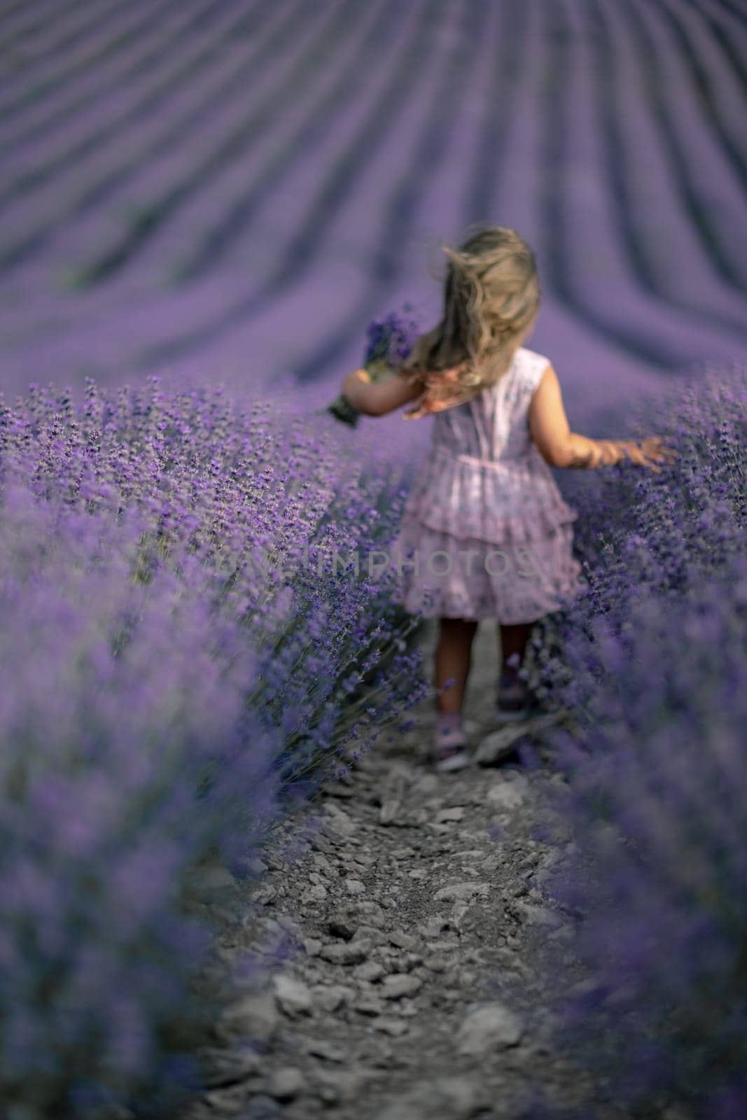 Lavender field girl. Back view happy girl in pink dress with flowing hair runs through a lilac field of lavender. Aromatherapy travel.