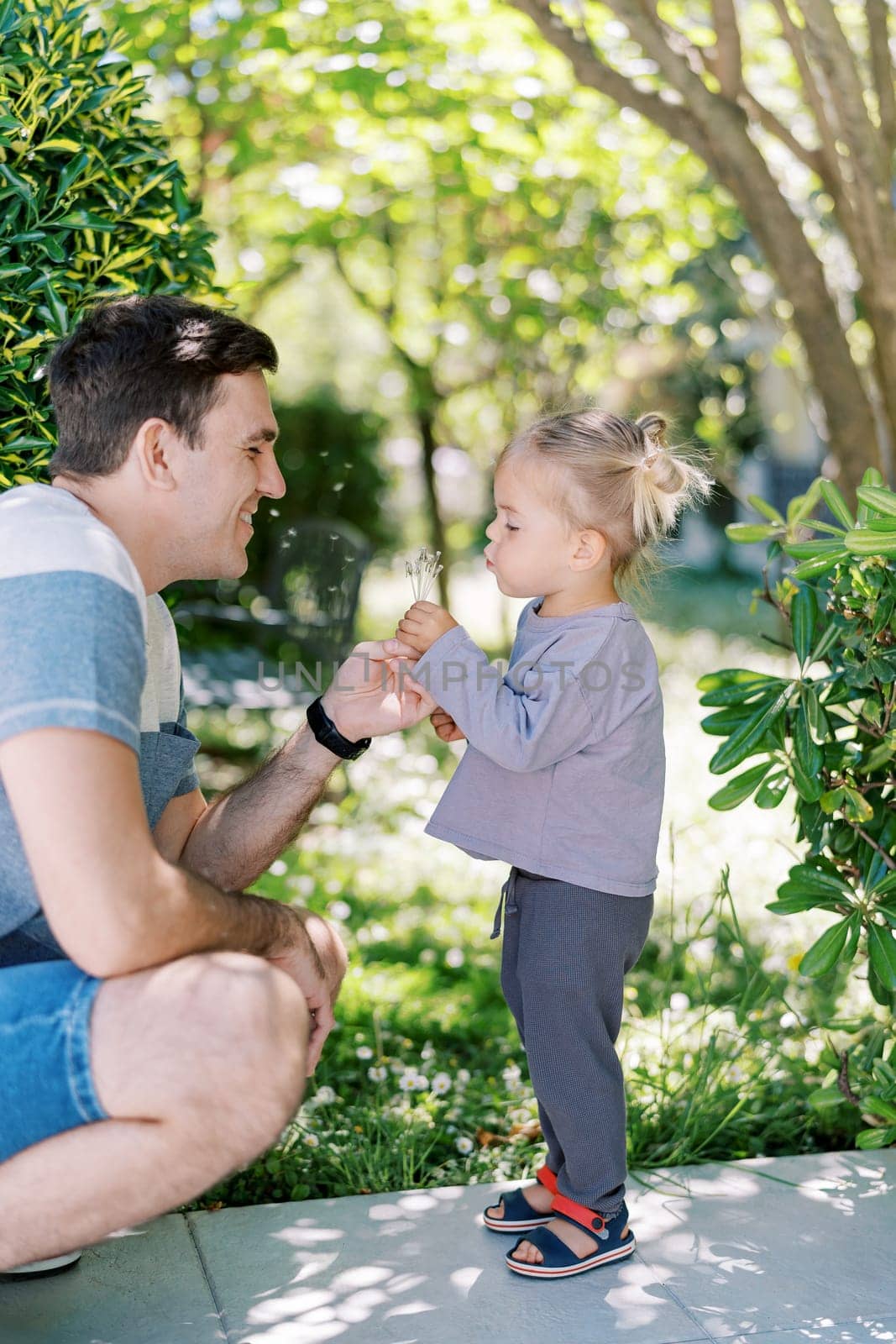 Little girl blows dandelions at squinting smiling dad. High quality photo