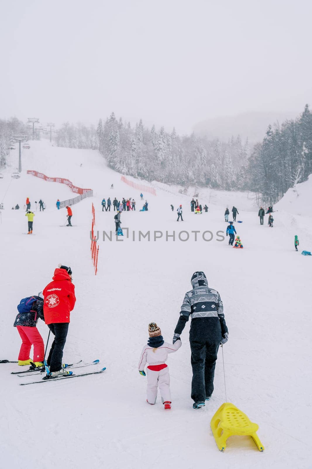 Mothers with children on skis and sleds climb a snow-covered ski slope along the red fence. Back view. High quality photo