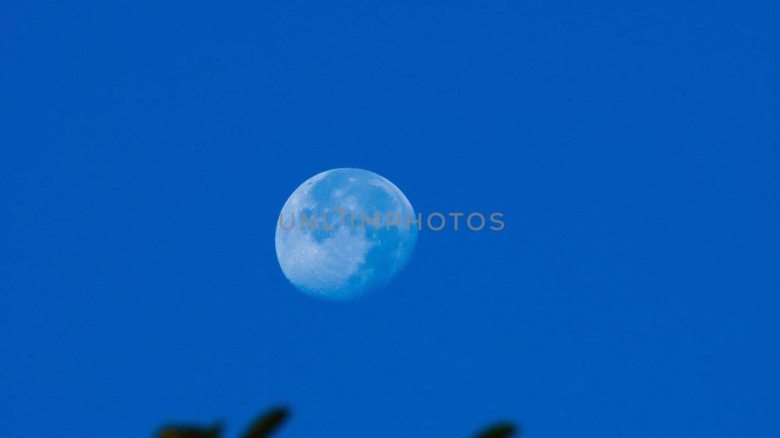 A beautiful moon was seen in the clear blue sky. Close-up of the moon in a light blue sky. by TEERASAK
