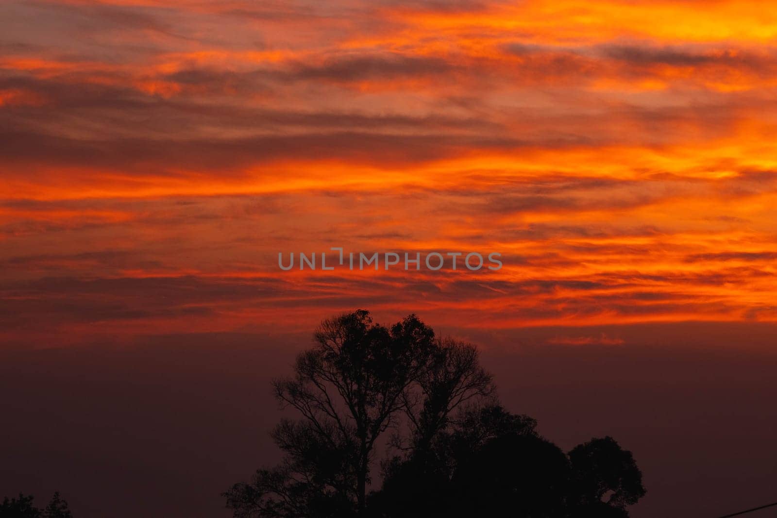 Beautiful nature morning with orange, yellow sunshine and fluffy clouds. Beautiful colorful dramatic sky with clouds at sunset or sunrise. by TEERASAK