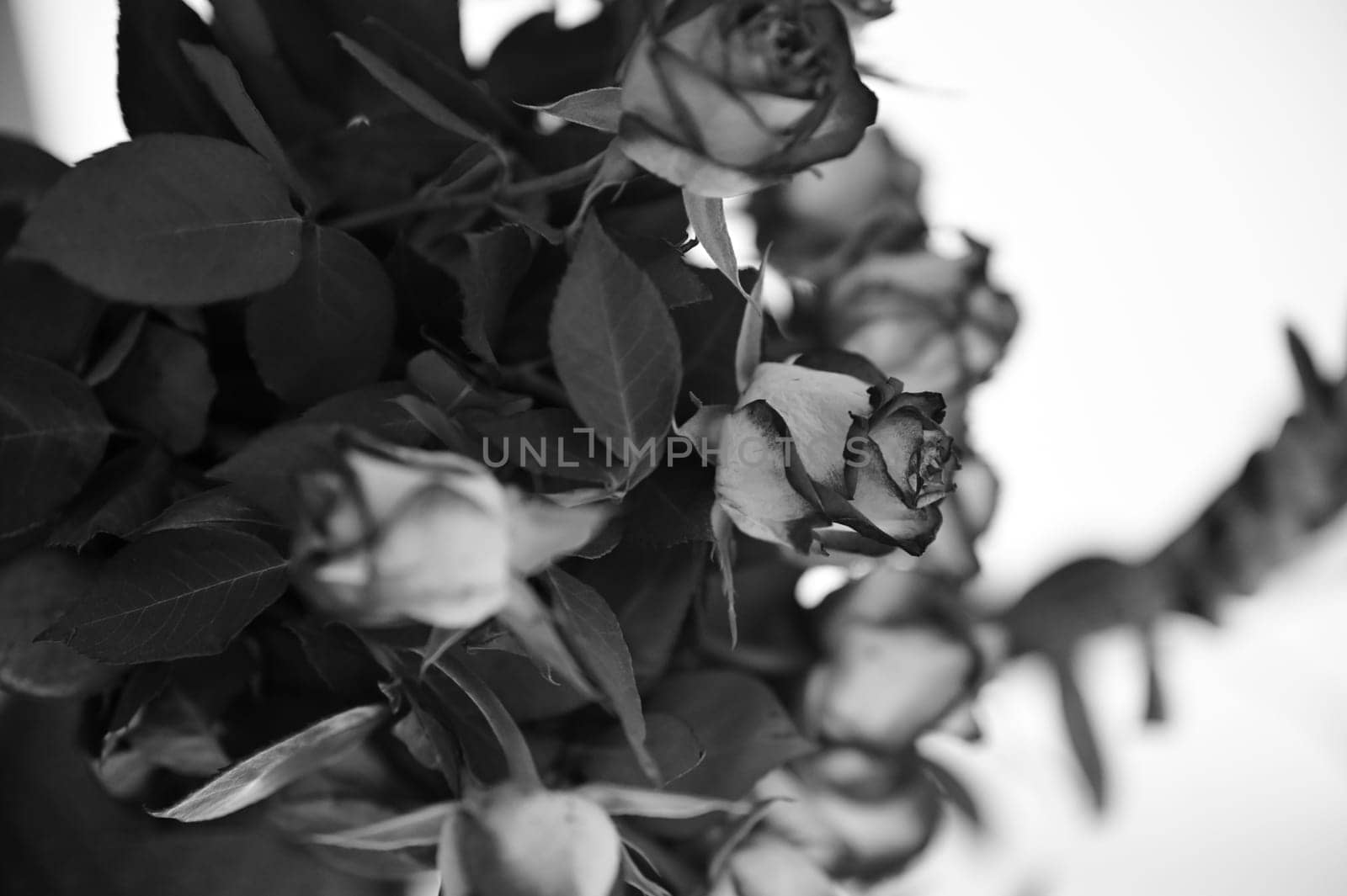 Bouquet of roses in black and white