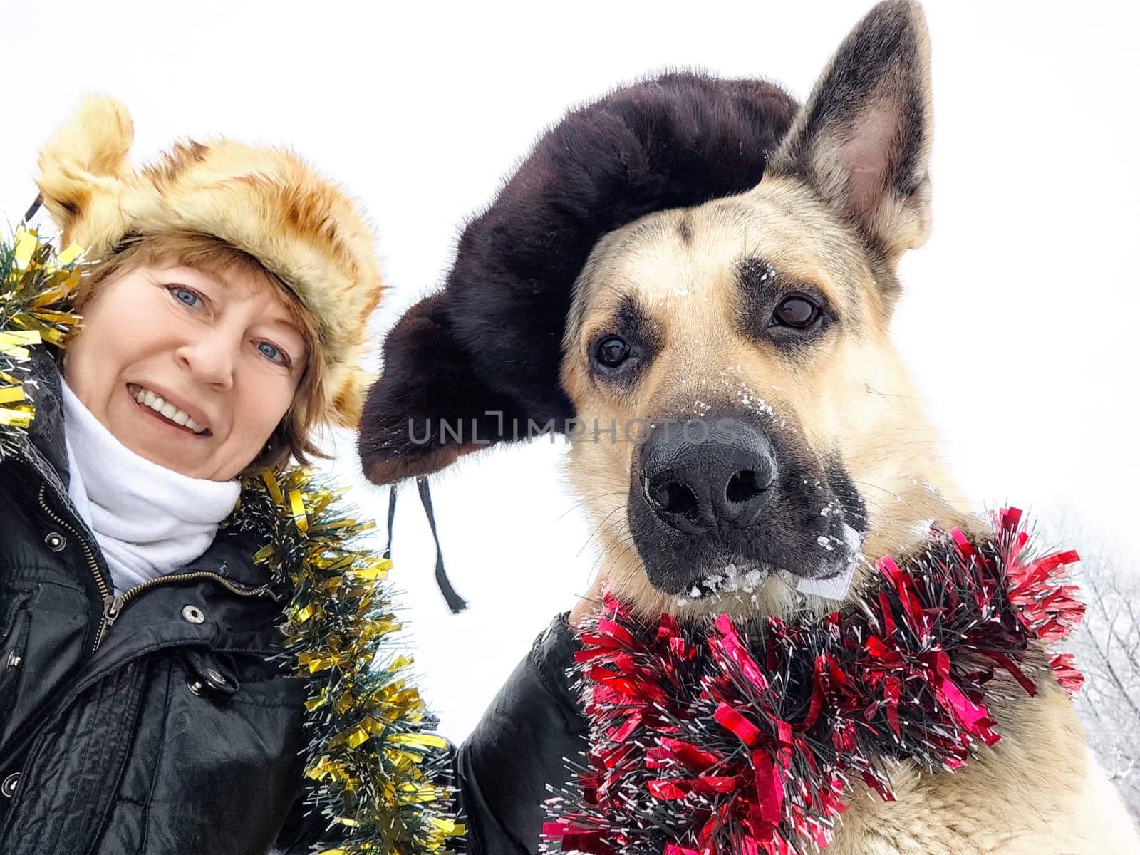 Funny Adult girl with shepherd dog in tinsel, fur caps taking selfie in a winter cold nature. Middle aged woman, big pet and Christmas or New Year