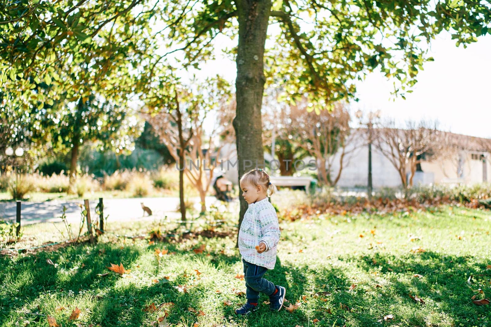 Little girl walks on green grass among fallen leaves in a sunny park. Side view. High quality photo