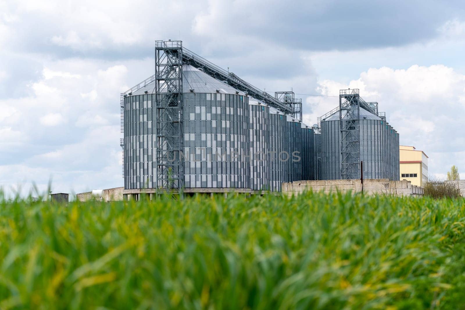 Granary elevator, silver silos on agro manufacturing plant for processing drying cleaning and storage of agricultural products, flour, cereals and grain. A field of green wheat