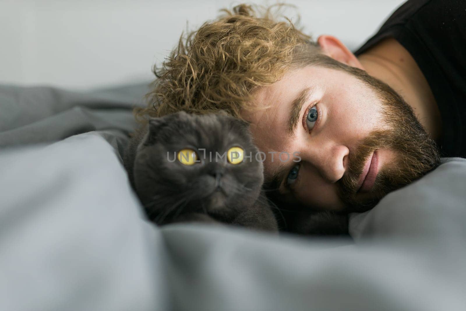 Happy handsome bearded man lying with a grey scottish fold cat. Playing with pet at home. Love and coziness leisure and pet animal protection concept. Scottish fold breed by Satura86