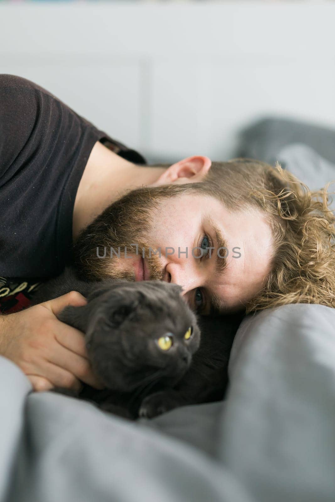 Happy handsome bearded man lying with a grey scottish fold cat. Playing with pet at home. Love and coziness leisure and pet animal protection concept. Scottish fold breed by Satura86