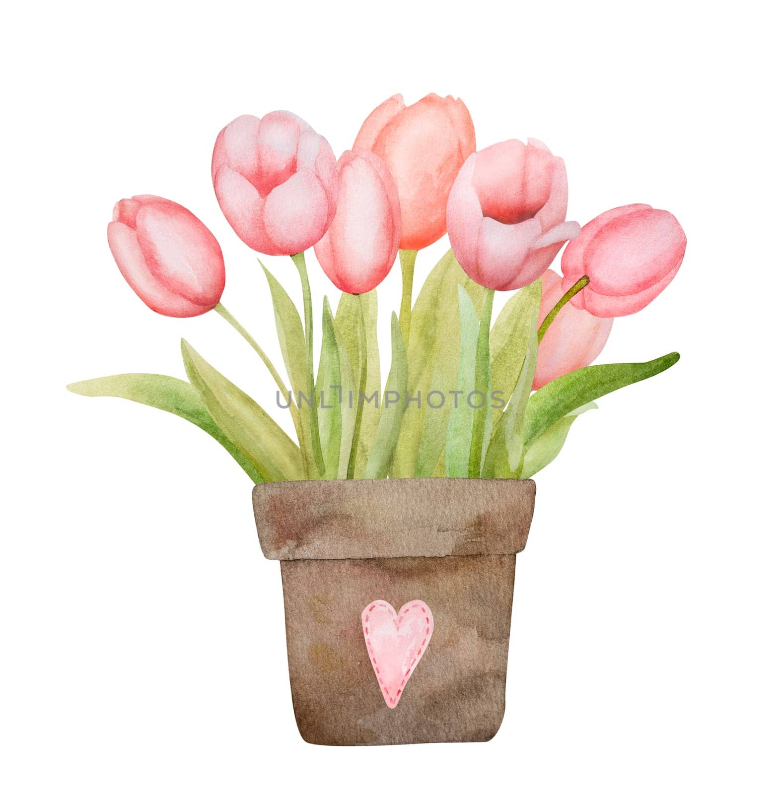Watercolor Illustration Of Red Tulips In A Pot by tan4ikk1