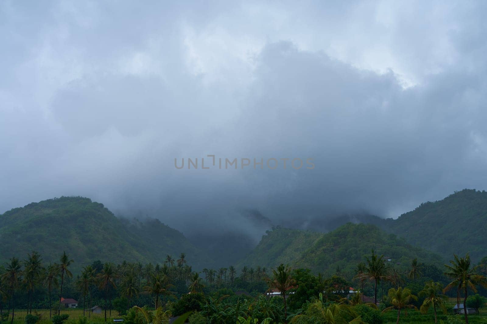 A tropical rainstorm in a rice field with cascading mountains and palm trees