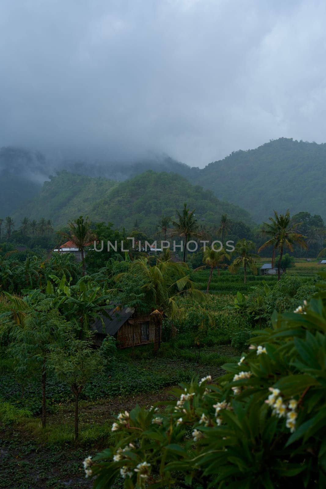 A tropical rainstorm in a rice field with cascading mountains and palm trees