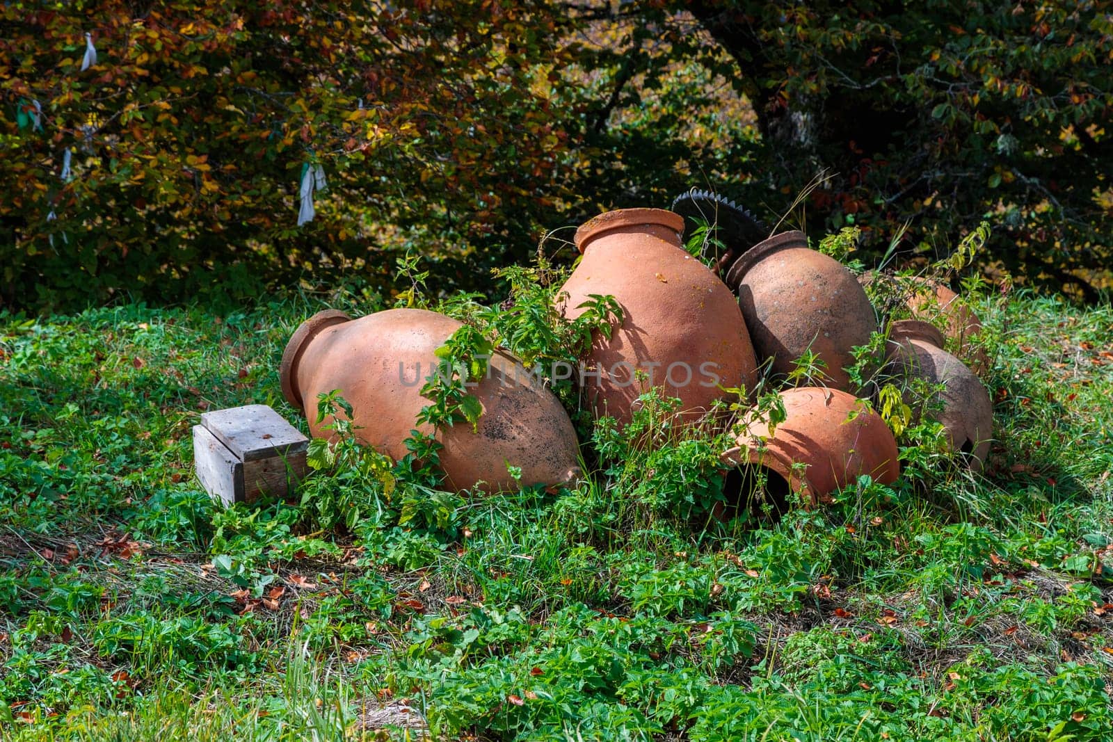 Georgian jugs, half-buried in the ground, display traditional pottery. This cultural image captures the essence of Georgian craftsmanship and heritage