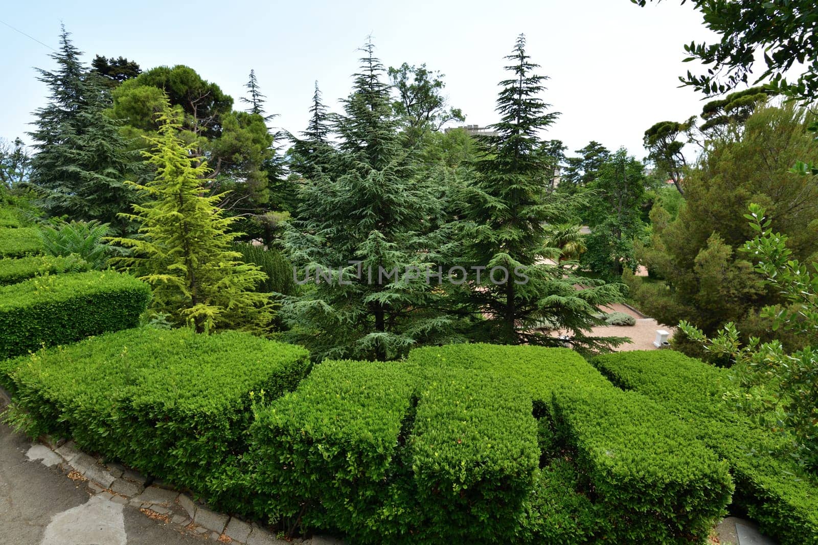 Livadia, Crimea - July 10. 2019. Park on a site of Palace of a Princes Yusupov Palace