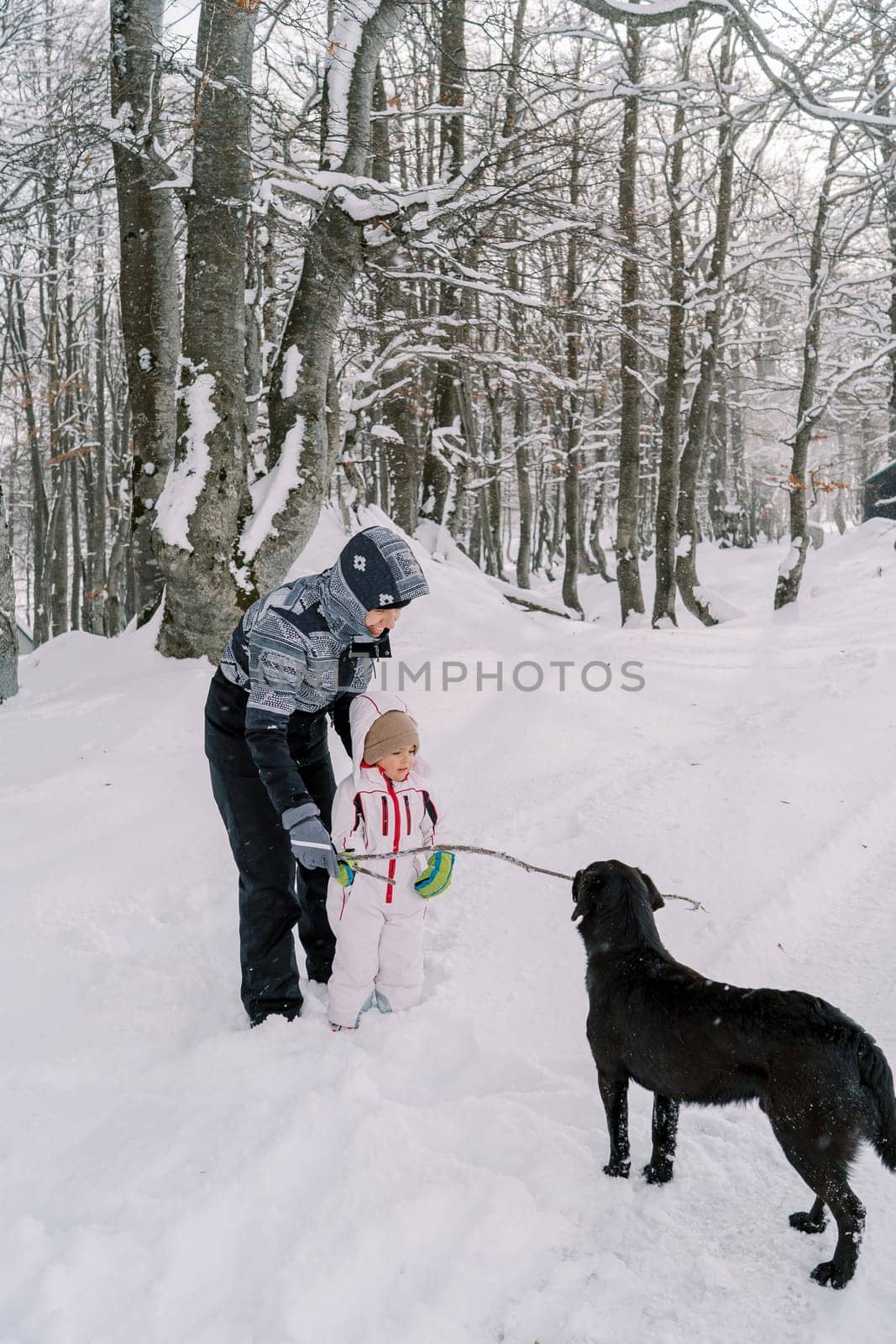 Mom hands out a stick to a black dog while standing with a little girl in a snowy forest by Nadtochiy