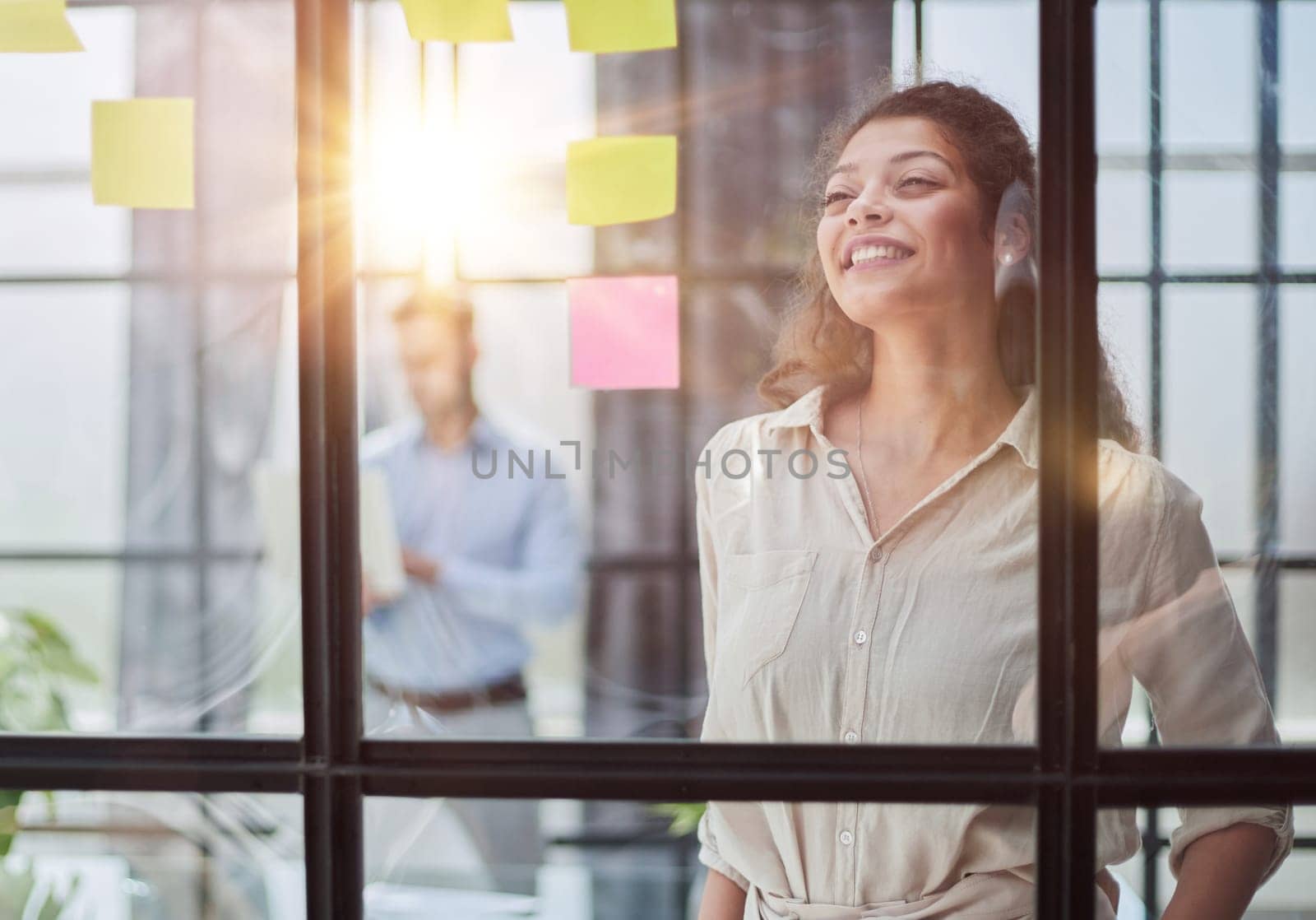 Bringing her vision to life. Shot of a confident businesswoman presenting an idea to her colleague using adhesive notes on a glass wall in the office.