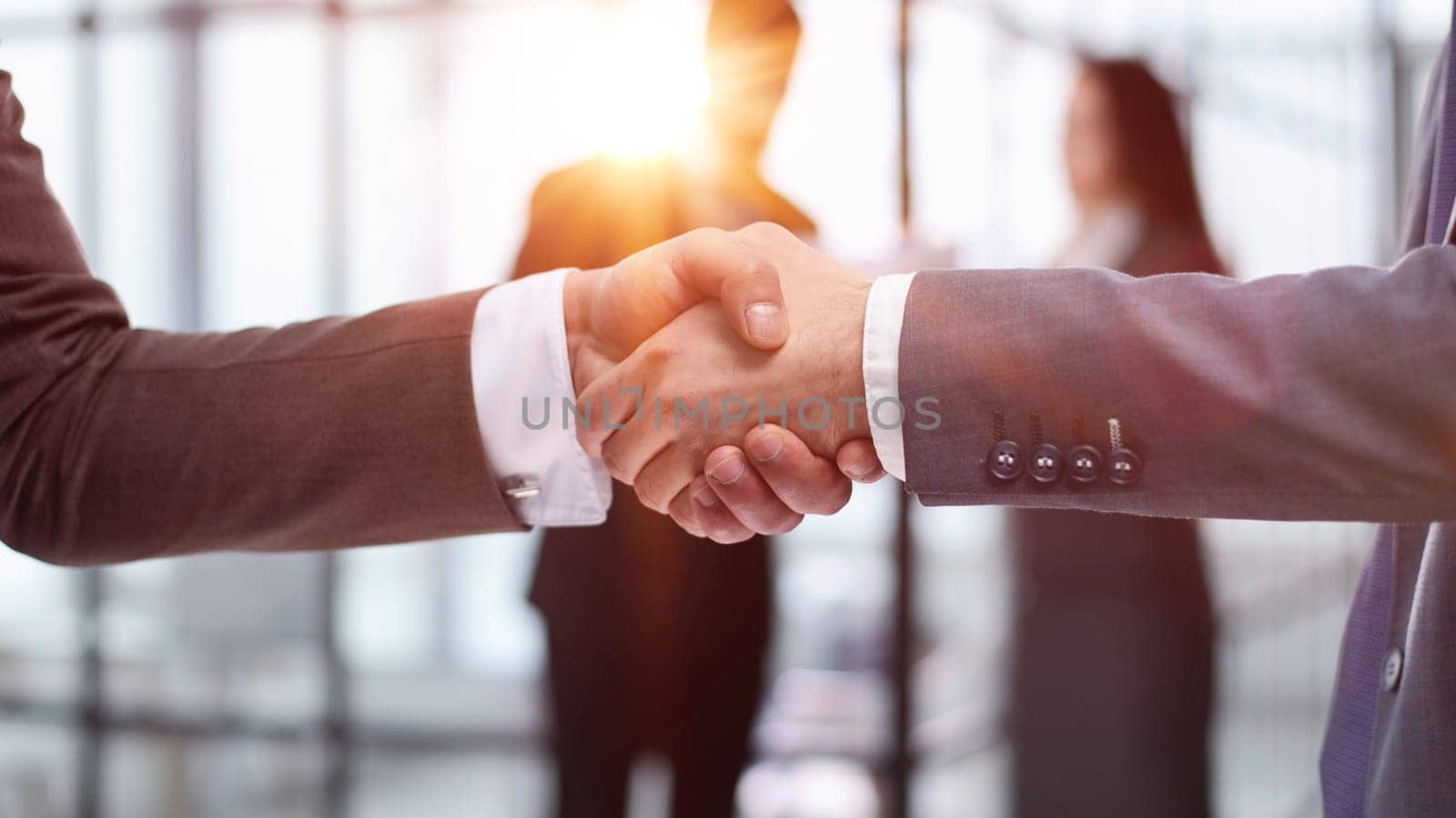 Close-up of business partners handshaking after successful agreement
