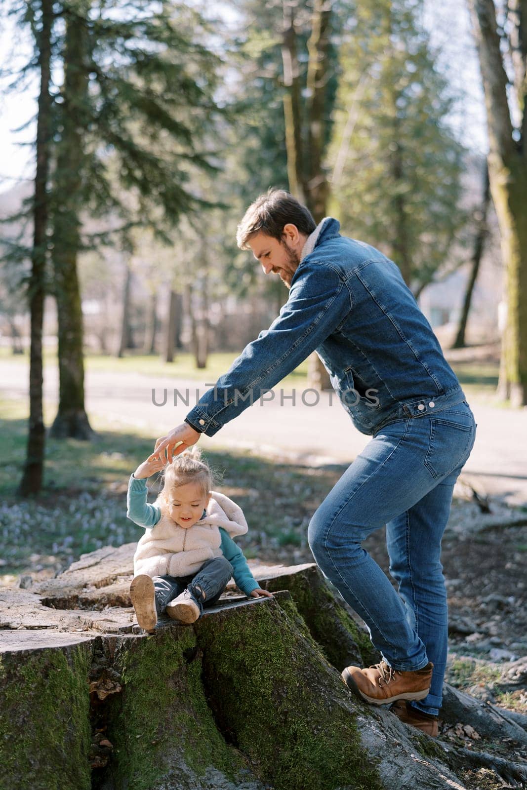 Dad stands near a huge stump in the forest with a little girl sitting on it holding her hand. High quality photo