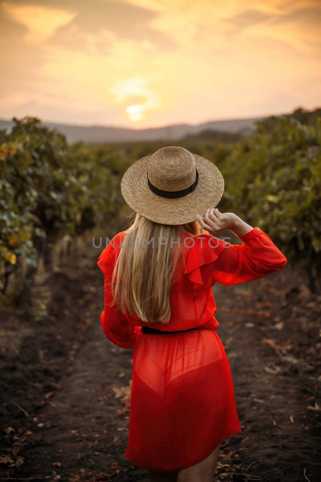 portrait of a happy woman in the summer vineyards at sunset. woman in a hat and smiling. by Matiunina
