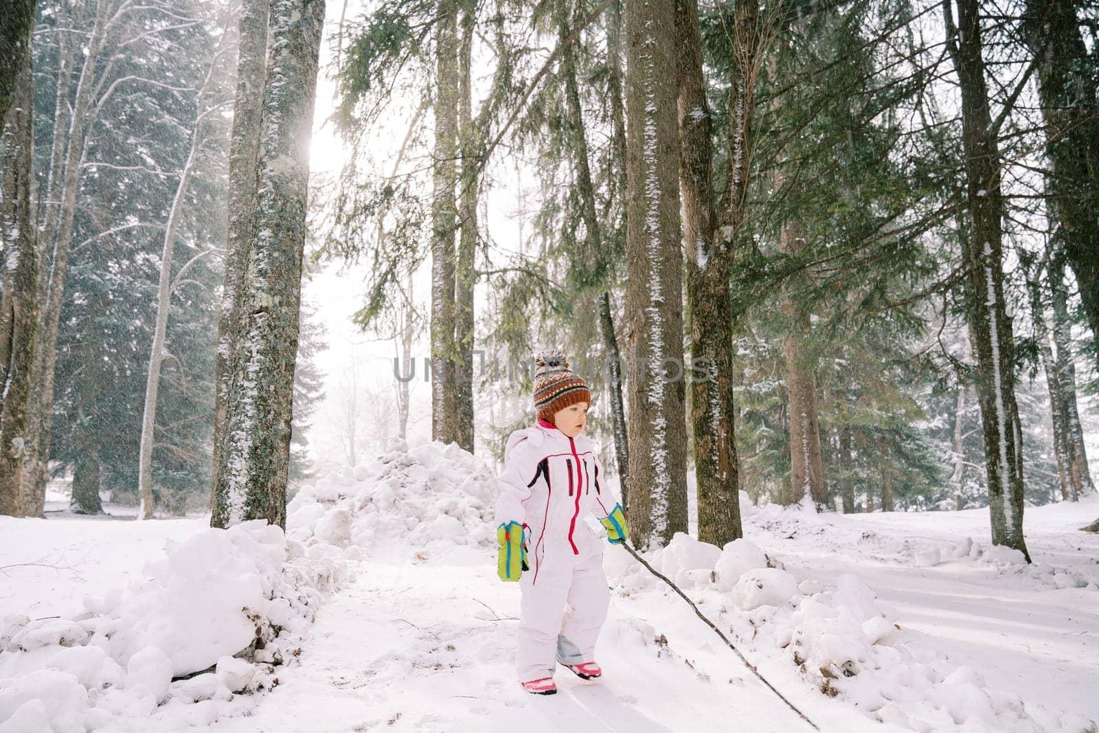 Little girl with a stick in her hand stands in a snowy forest and looks away by Nadtochiy