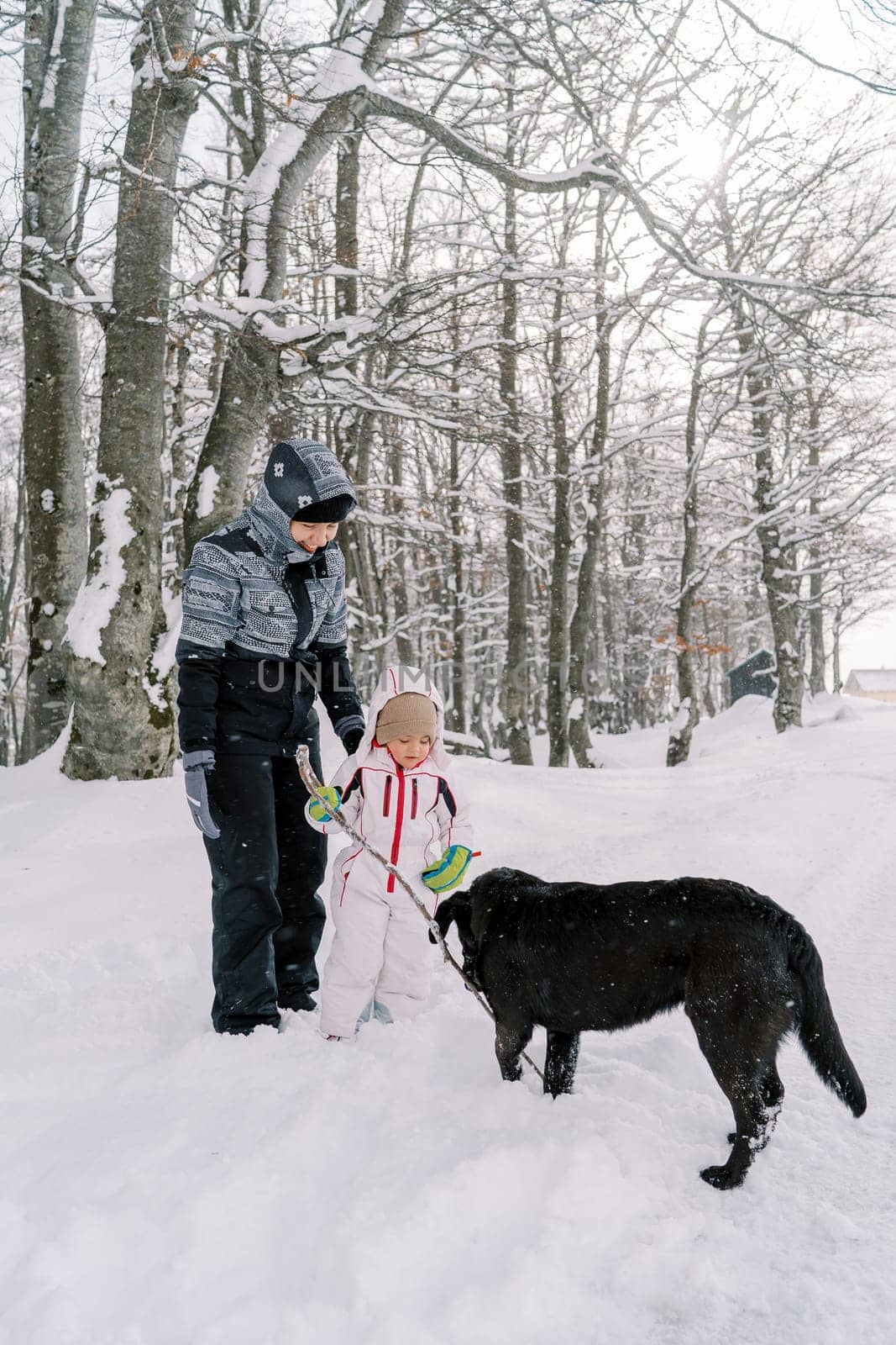 Little girl hands a stick to a black dog while standing with her mother in a snowy forest by Nadtochiy