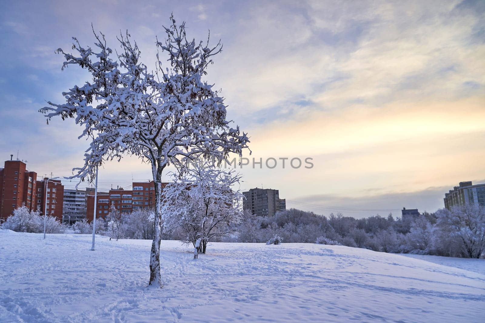 Winter landscape with trees covered with hoarfrost in the city park by DAndreev
